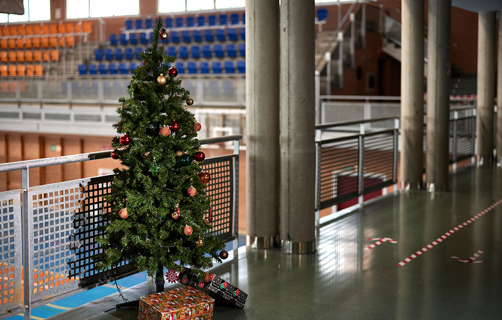 árbol decorado de navidad en el polideportivo