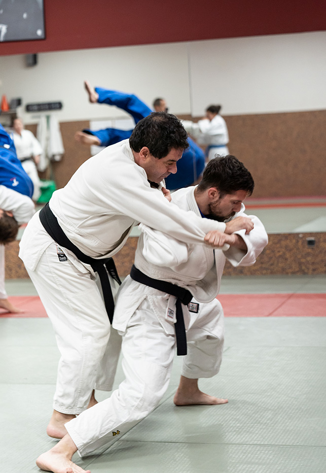 combate de judo en el tatami