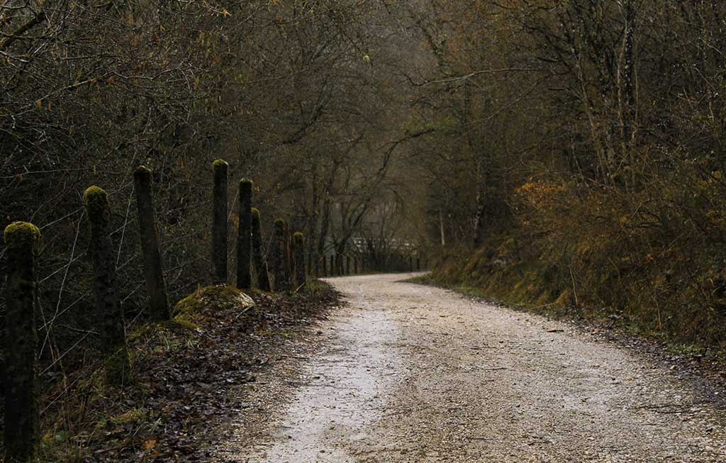 camino en Navarra en invierno