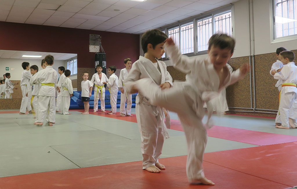 objetivos técnicos de judo