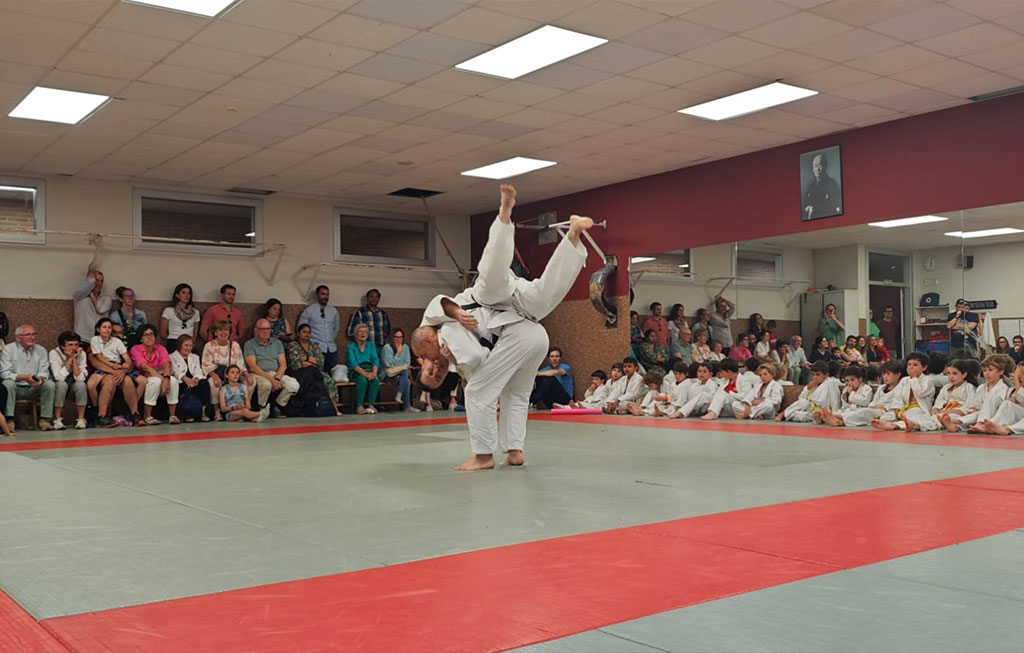 judoka en medio de un combate